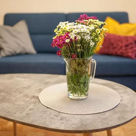 Marco Shipping Apartment Ceske Budejovice